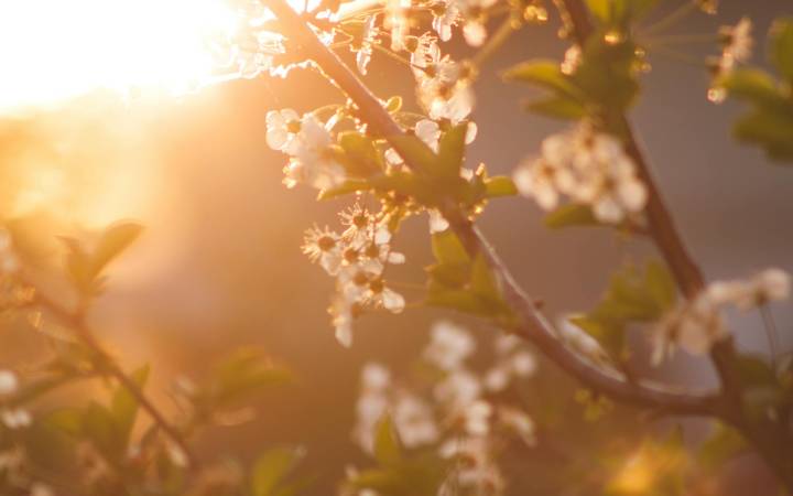 Spring into Freshness: 12 Breezy Ways to Shake Up Your Routine